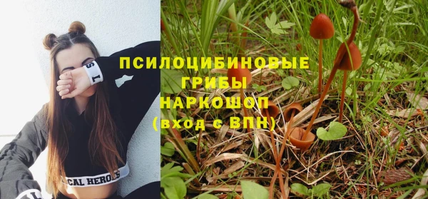 ALPHA PVP Киренск