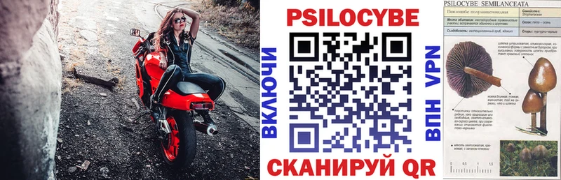 даркнет наркотические препараты  Новошахтинск  Галлюциногенные грибы мухоморы 